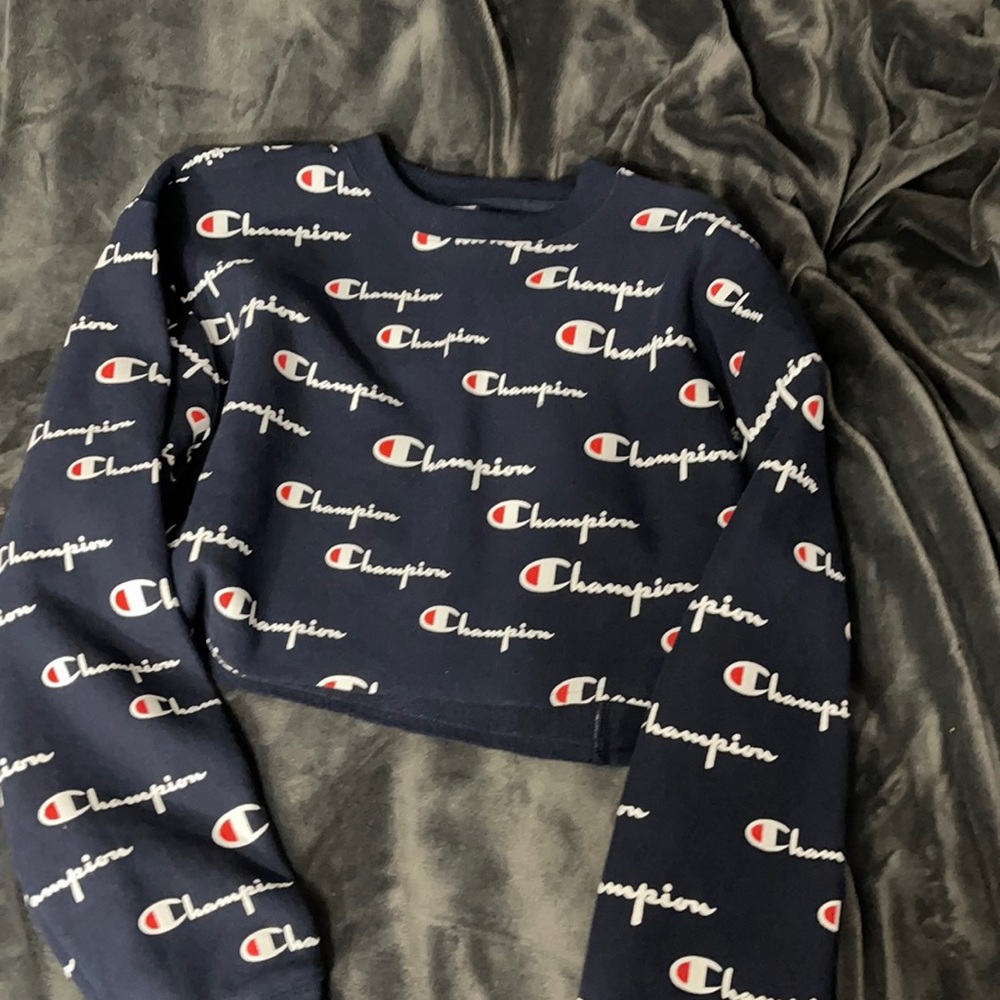 champion cropped sweatshirt